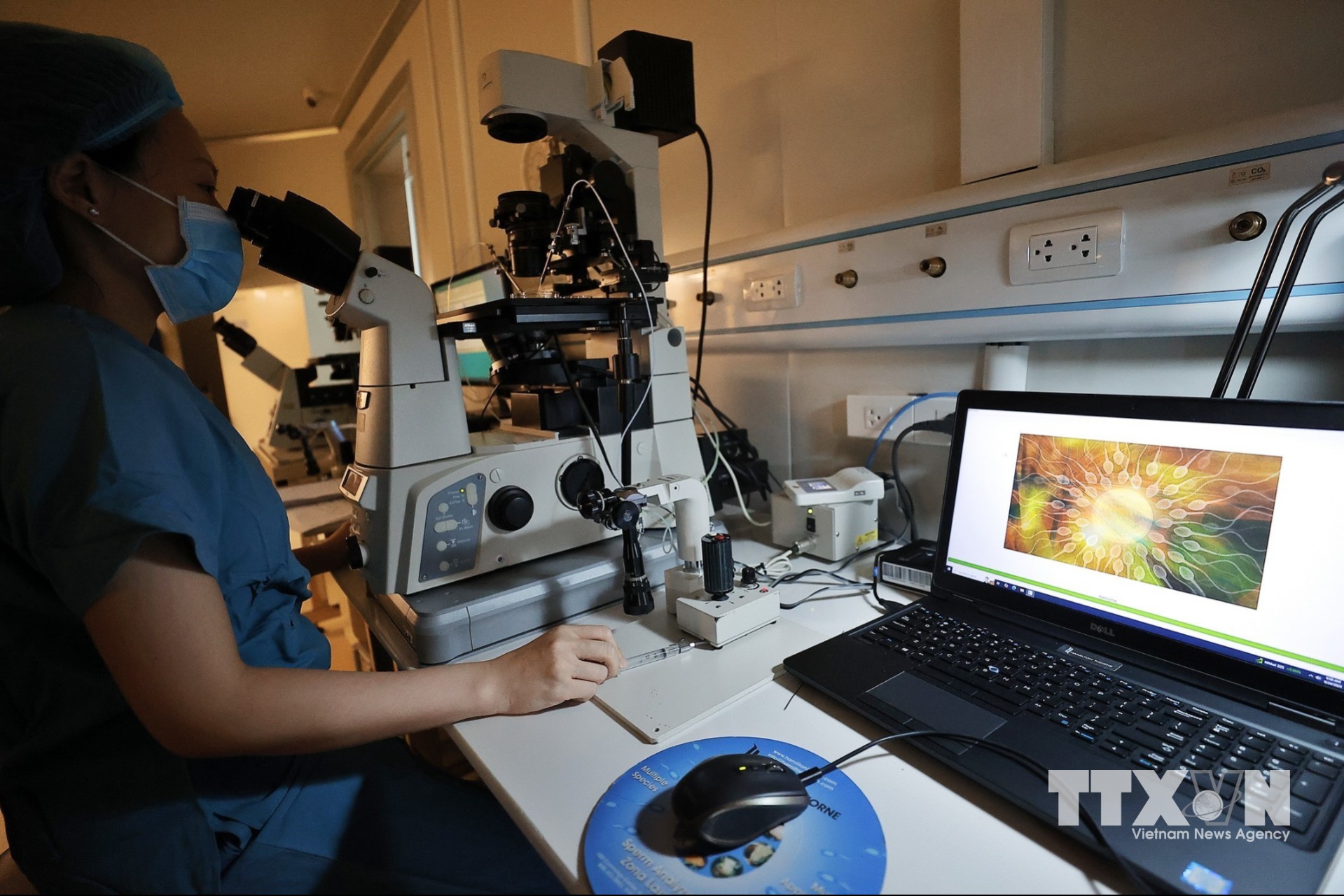 Thụ tinh trong ống nghiệm (IVF) là kỹ thuật thụ tinh giữa trứng và tinh trùng trong môi trường ống nghiệm, được ứng dụng trong điều trị vô sinh – hiếm muộn phổ biến nhất hiện nay. (Ảnh: Minh Quyết/TTXVN)